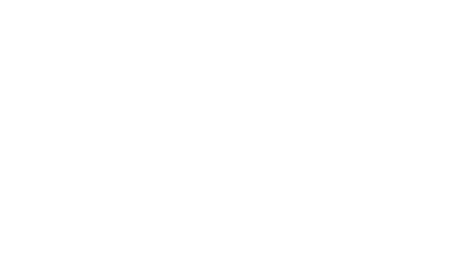 AI Ally